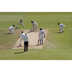 Cricket image